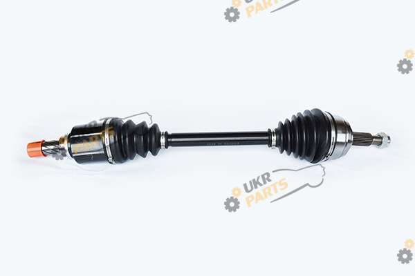  ASAM 55273