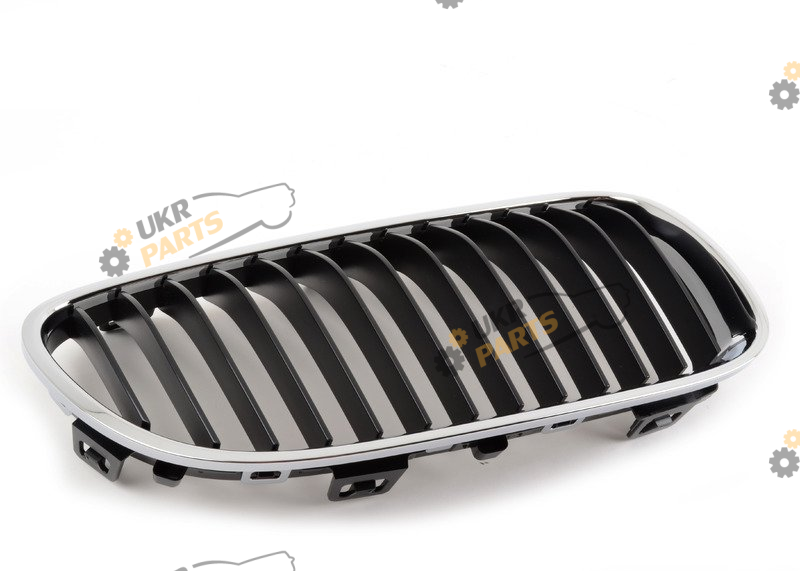 Решетка радиатора BMW 51137254968