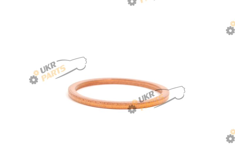 Dichtring PORSCHE N0438541 Dichtring PORSCHE N0438541