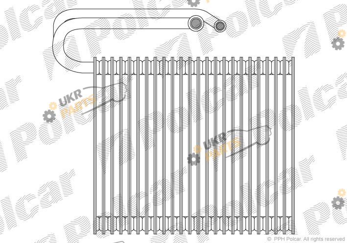  Polcar 5518P8-1