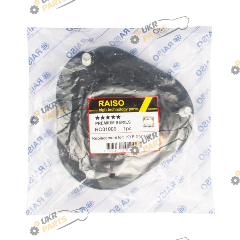  Raiso RC01009
