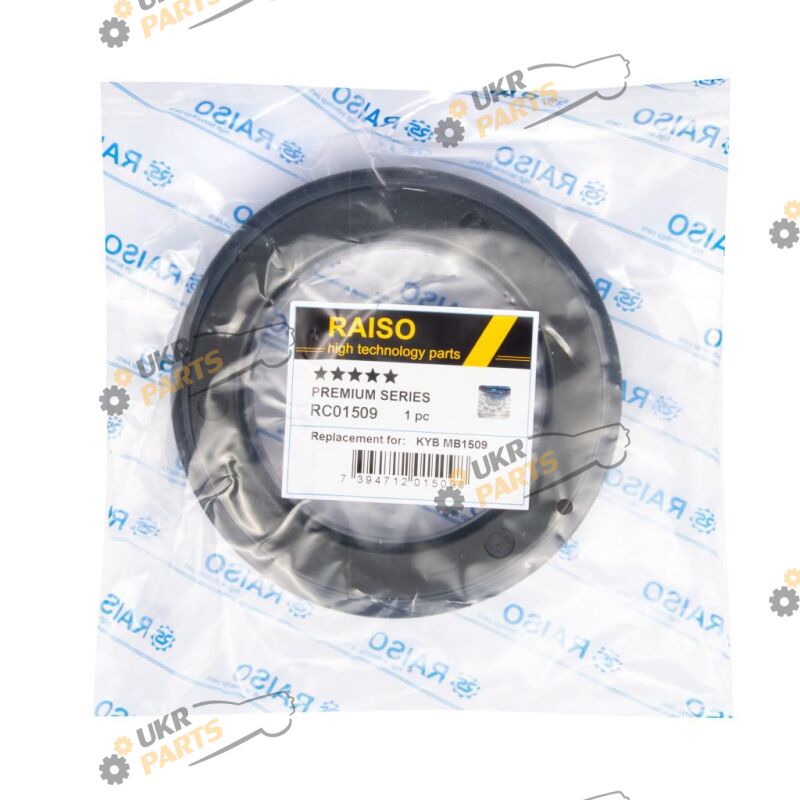  Raiso RC01509