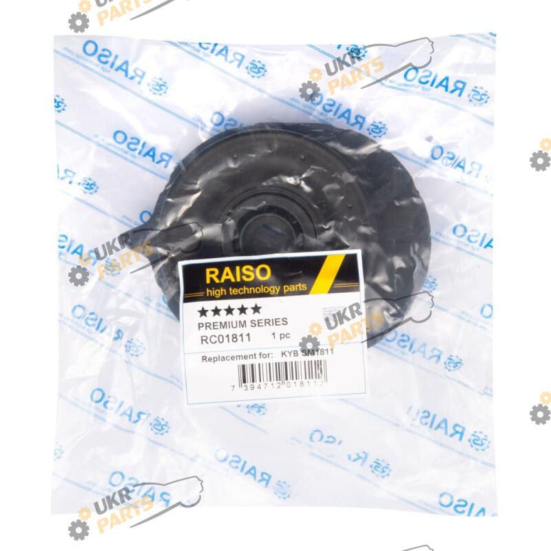  Raiso RC01811