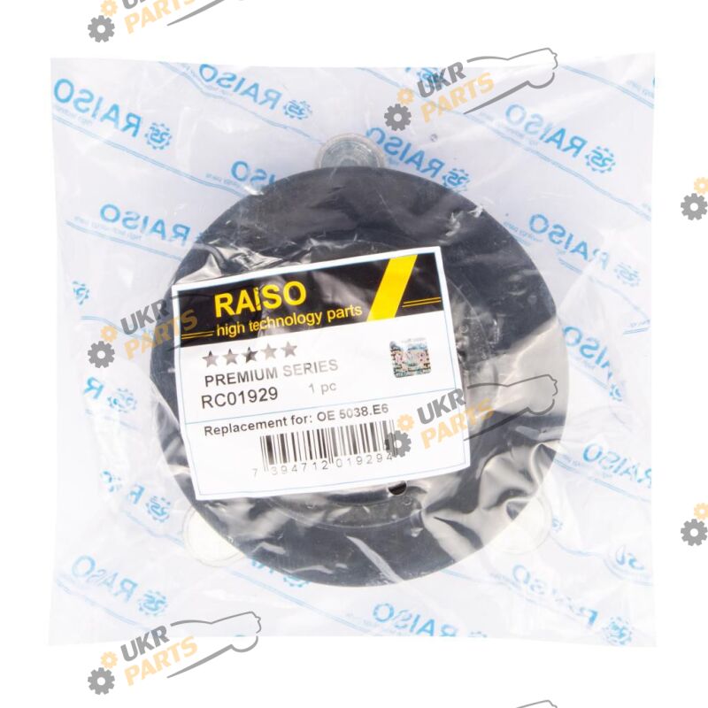  Raiso RC01929