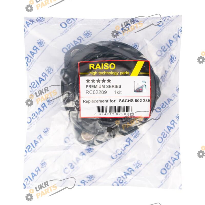  Raiso RC02289