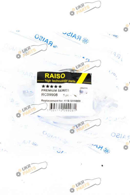  Raiso RC09908
