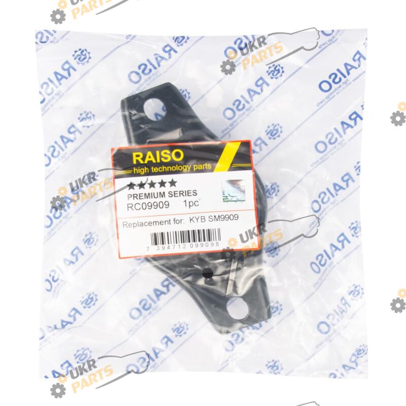 Raiso RC09909