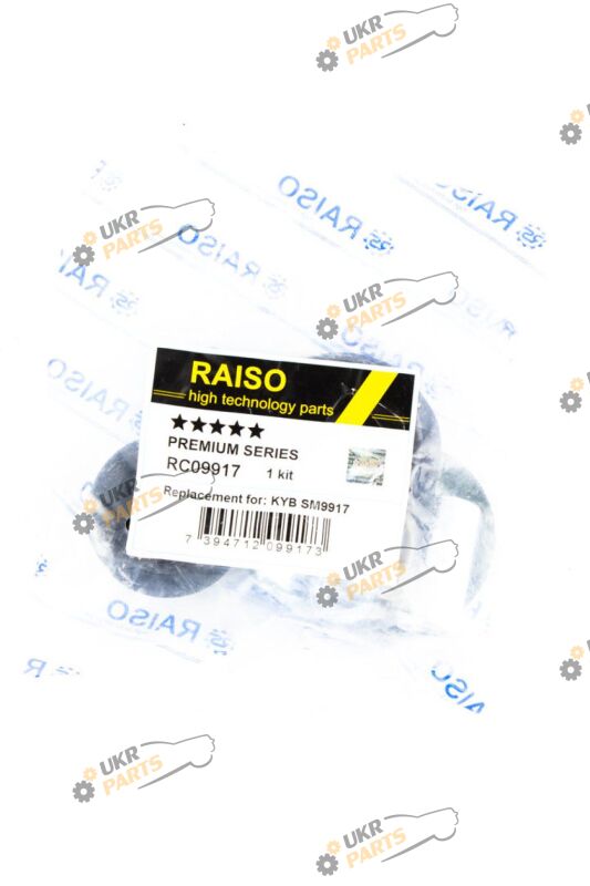  Raiso RC09917