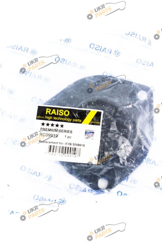  Raiso RC09919