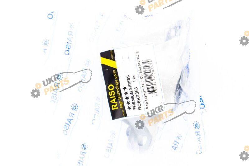  Raiso RC8K0353