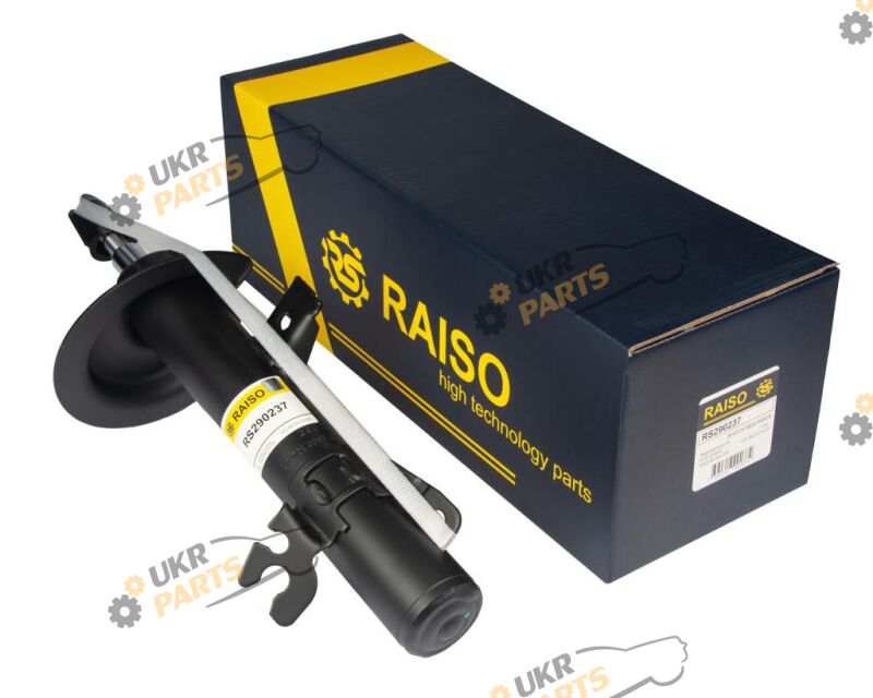  Raiso RS290237
