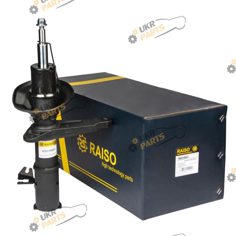  Raiso RS310021