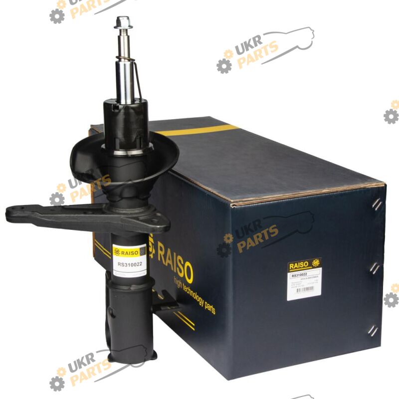  Raiso RS310022