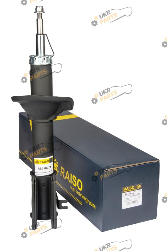  Raiso RS310024