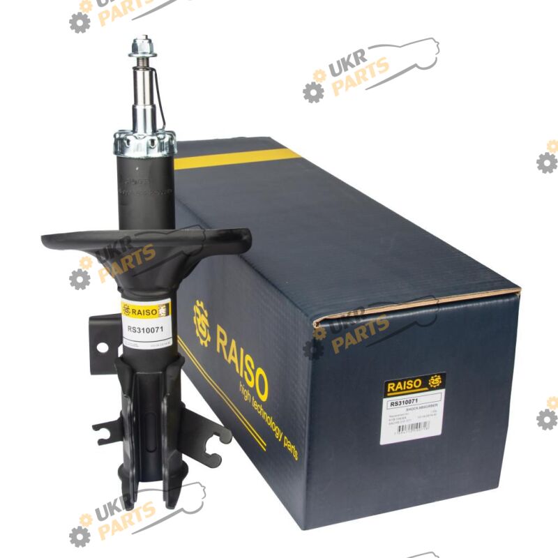  Raiso RS310071