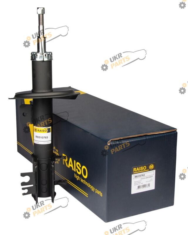  Raiso RS310763