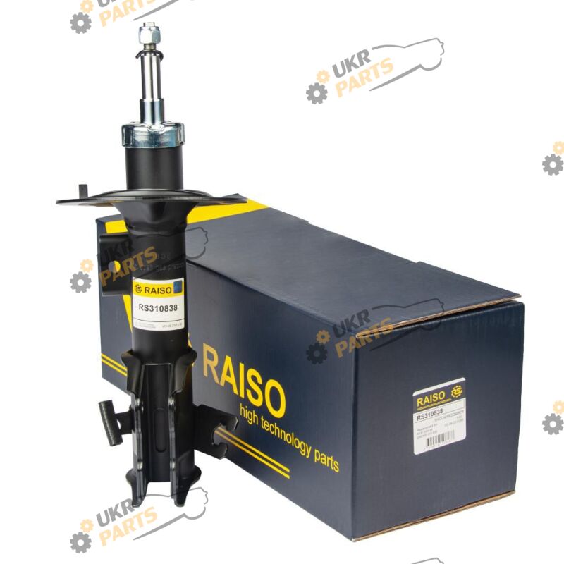  Raiso RS310838