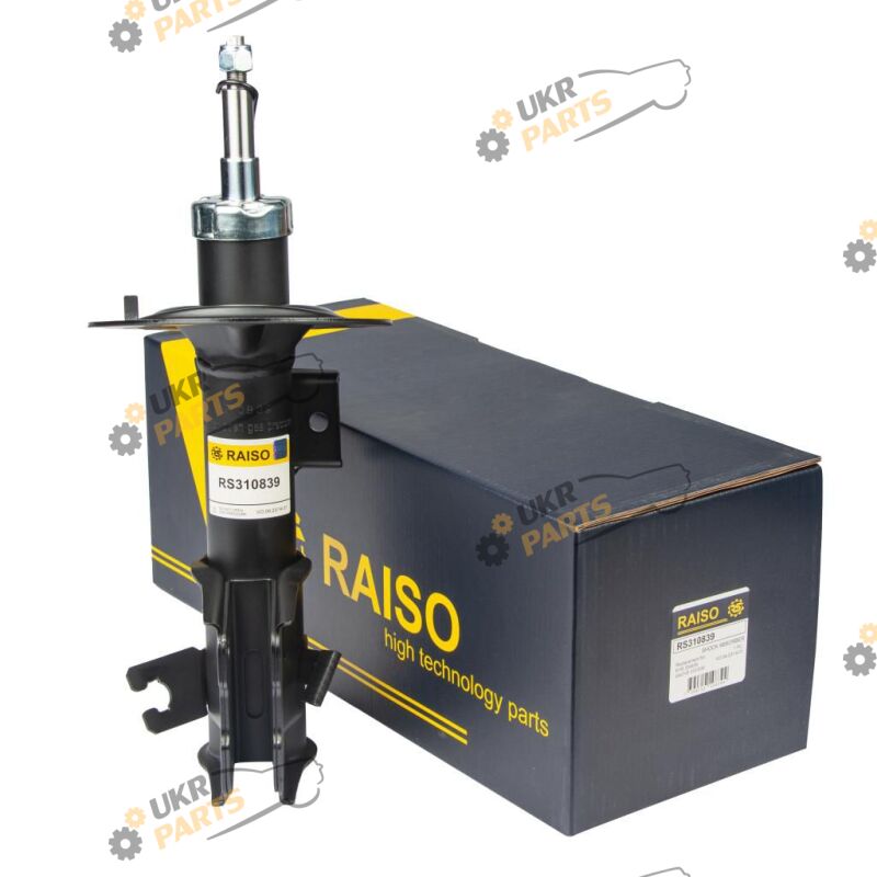  Raiso RS310839
