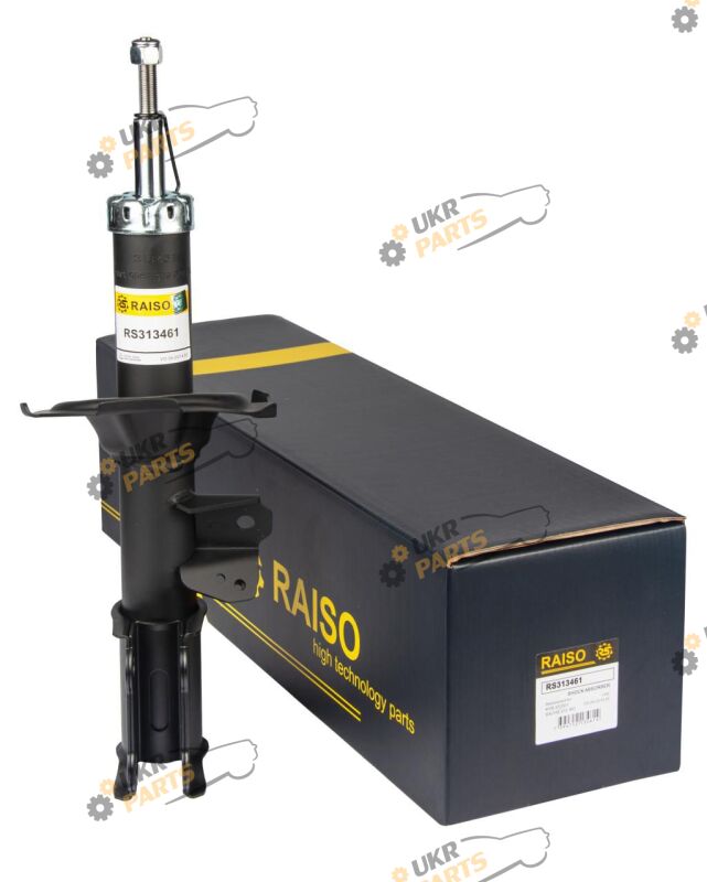  Raiso RS313461