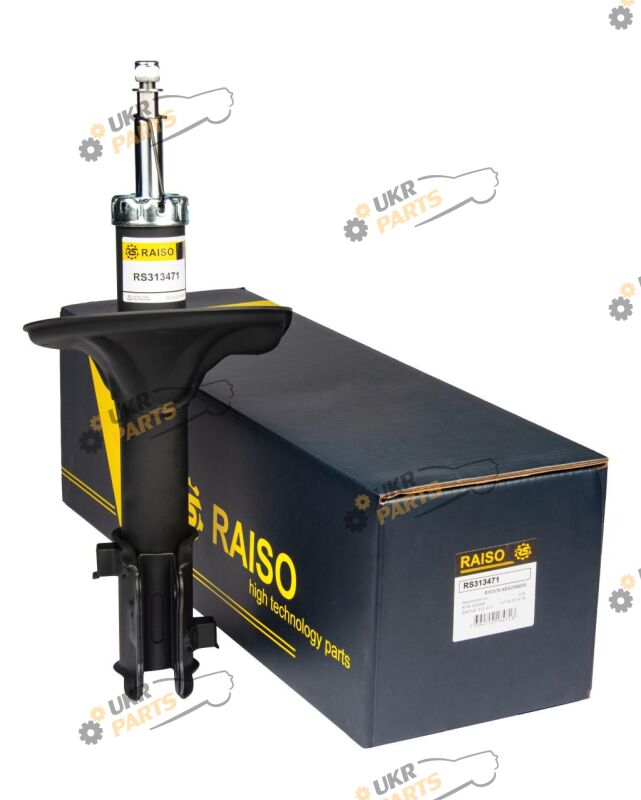 Raiso RS313471