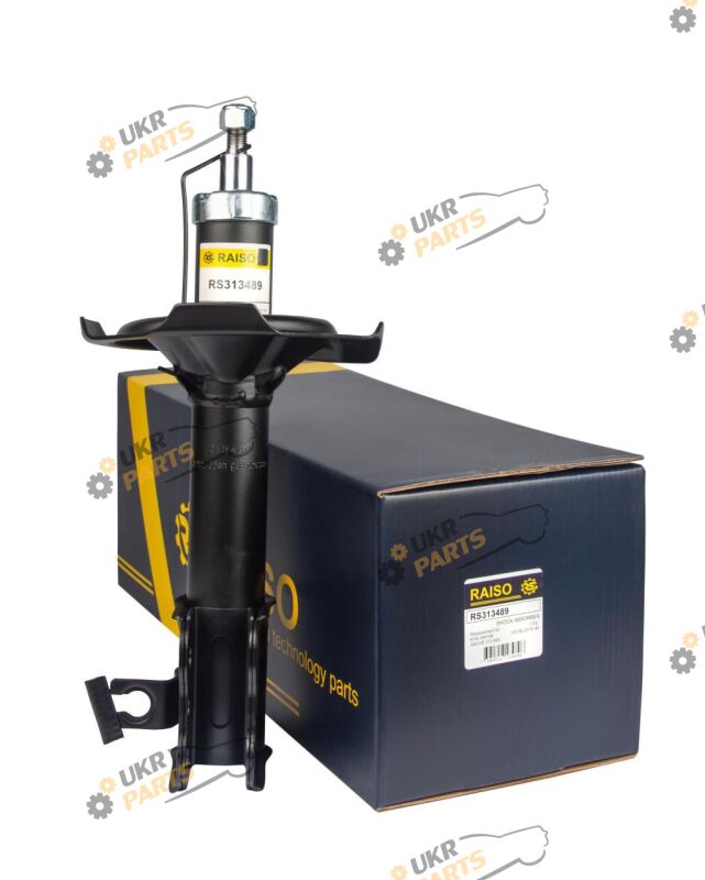  Raiso RS313489
