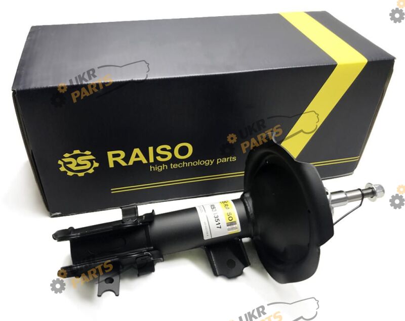  Raiso RS313517