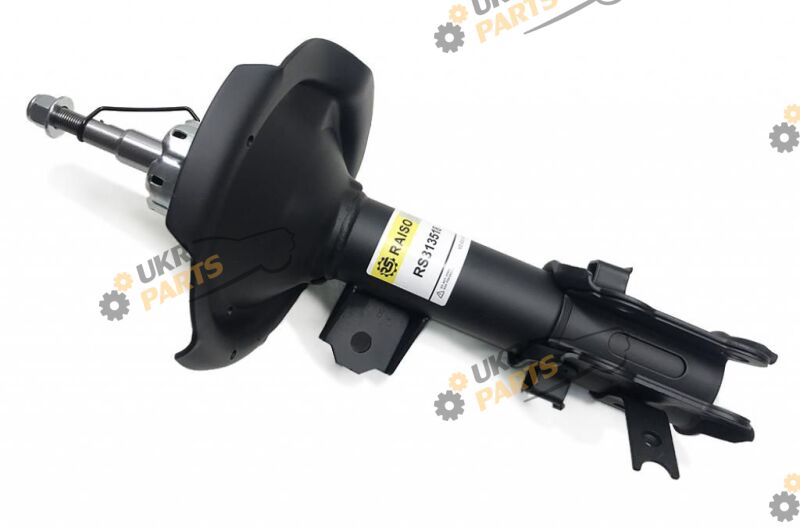  Raiso RS313518