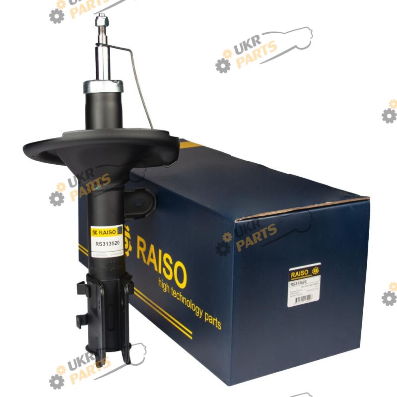  Raiso RS313520