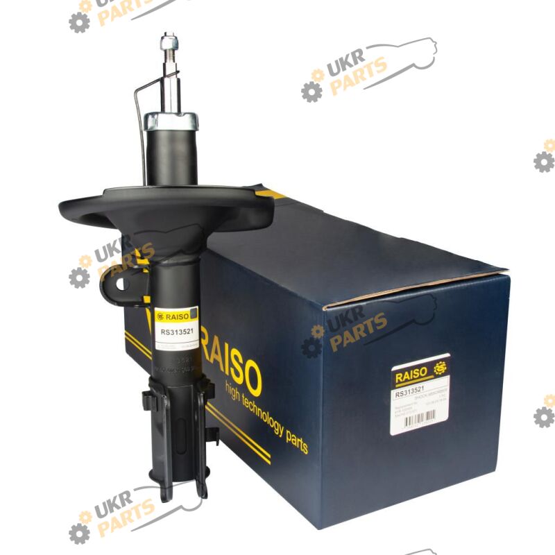  Raiso RS313521
