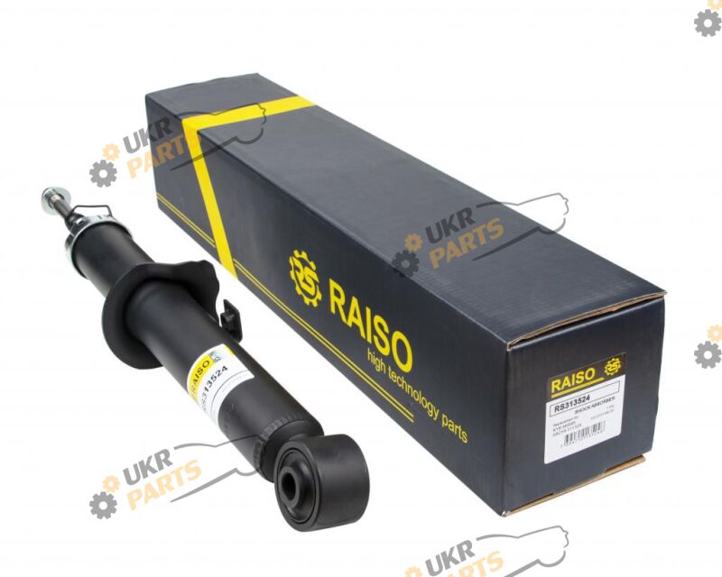  Raiso RS313524