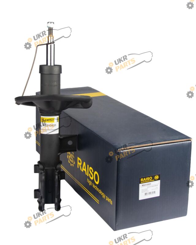  Raiso RS313531
