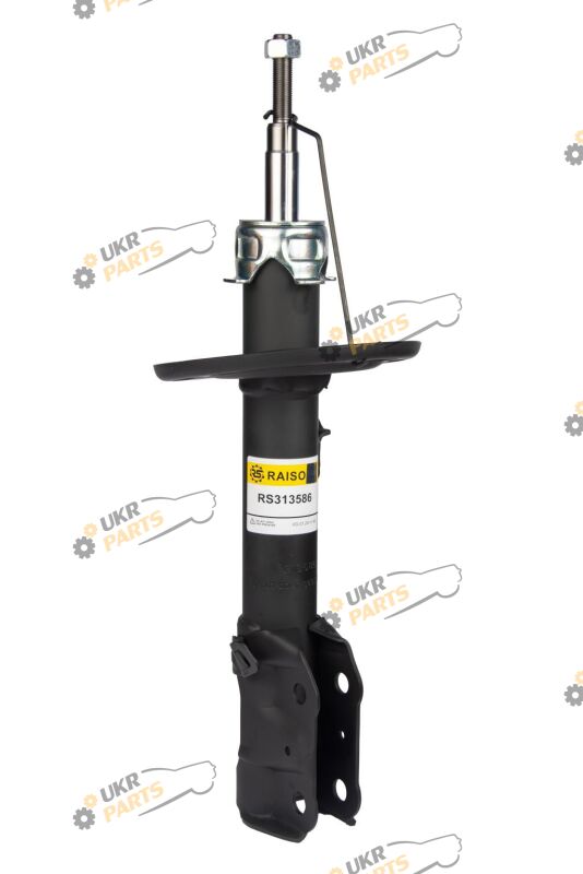  Raiso RS313586