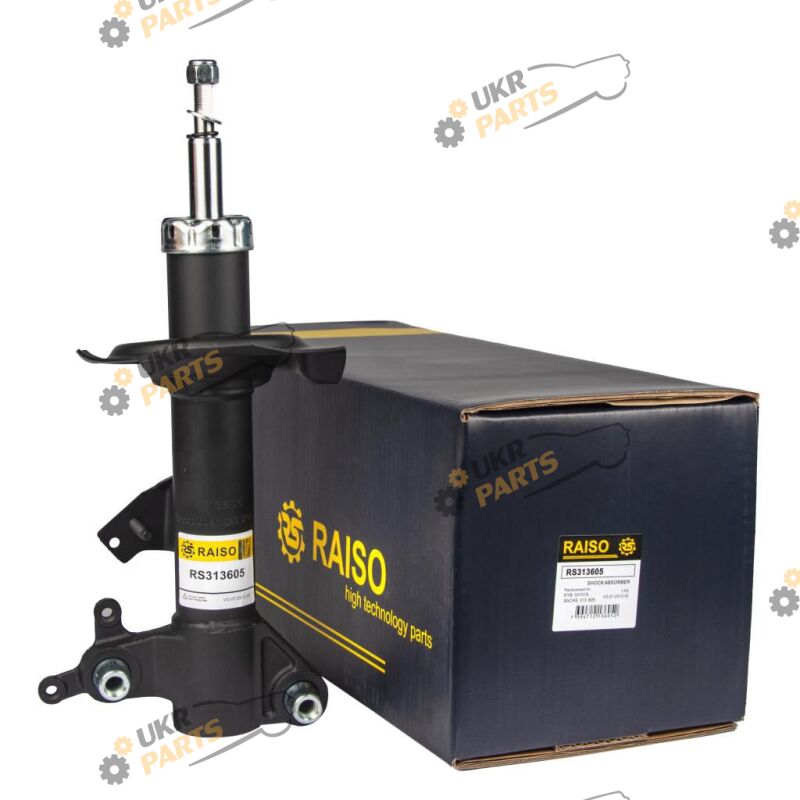  Raiso RS313605