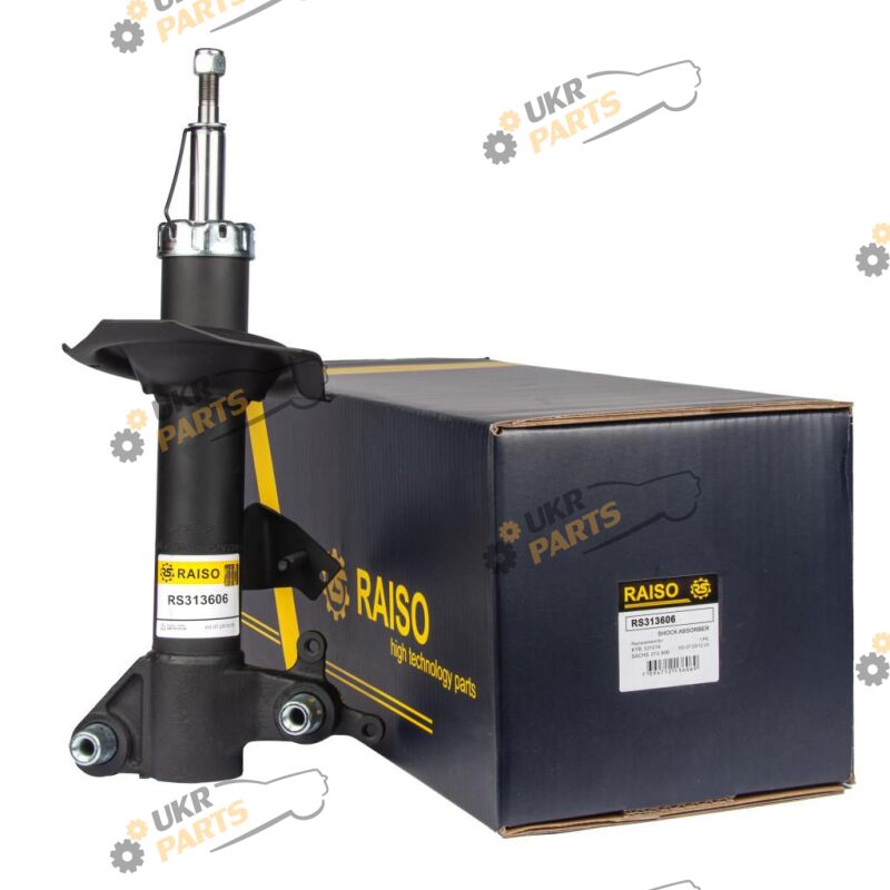  Raiso RS313606
