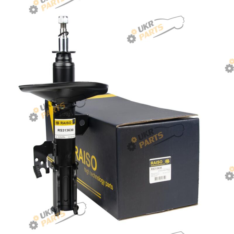  Raiso RS313630