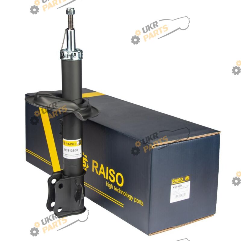 Raiso RS313660