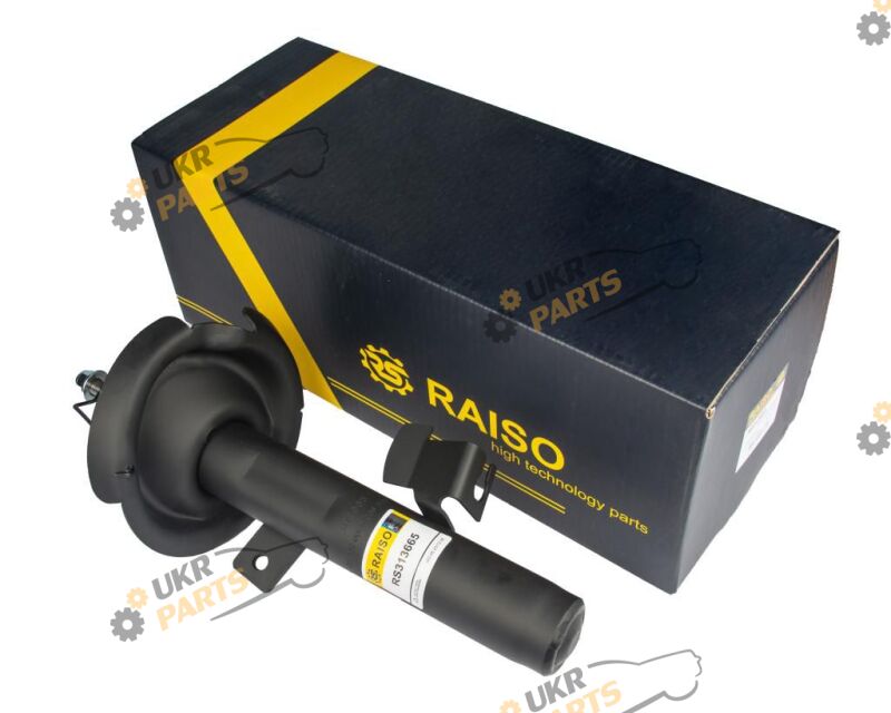  Raiso RS313665