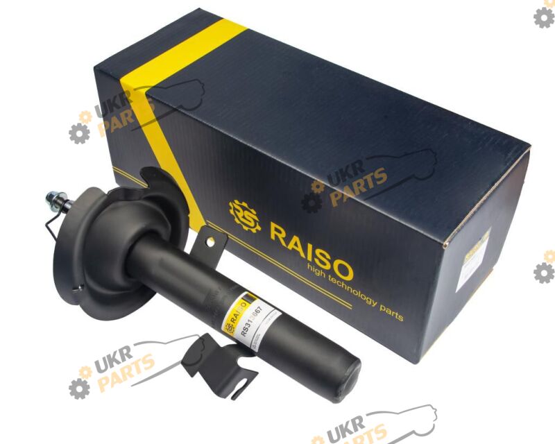  Raiso RS313667