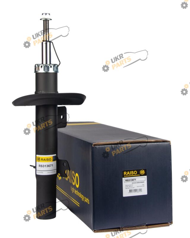 Raiso RS313671
