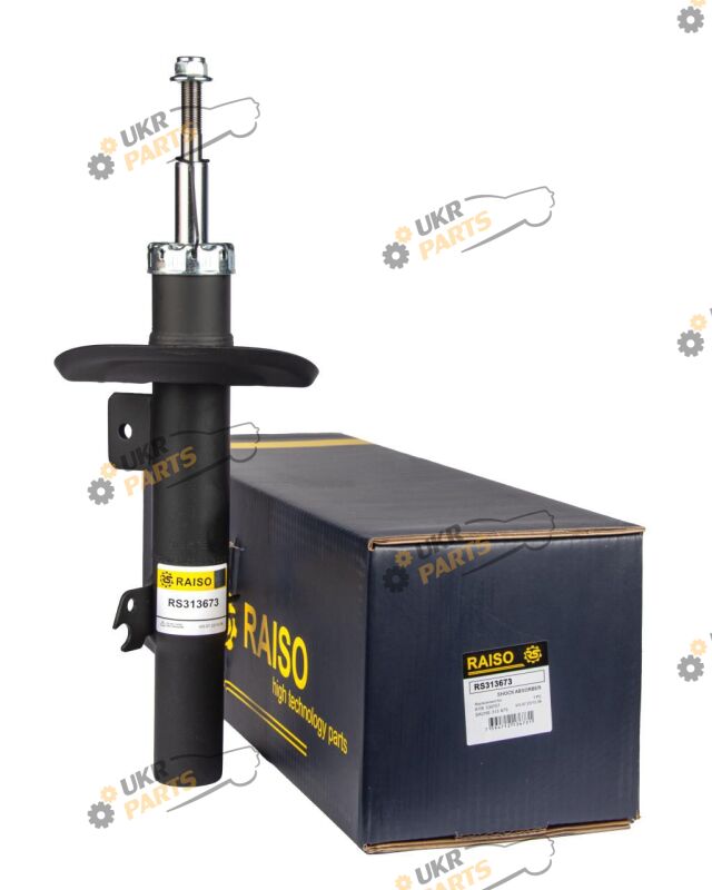  Raiso RS313673