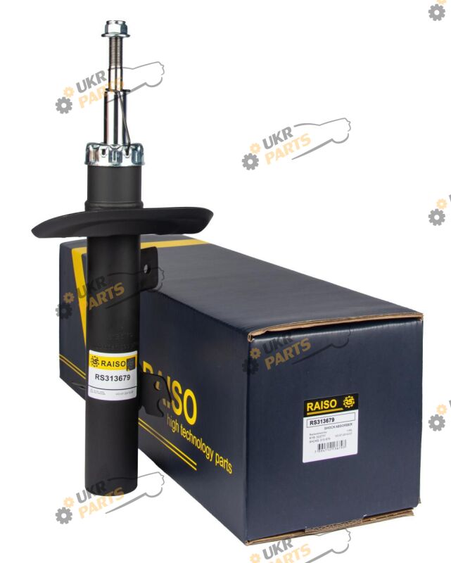  Raiso RS313679
