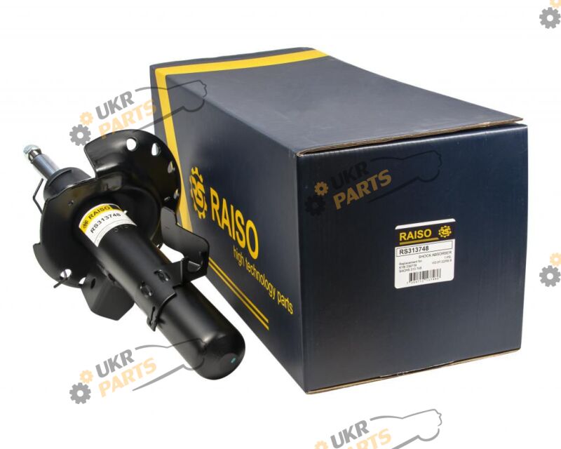  Raiso RS313748