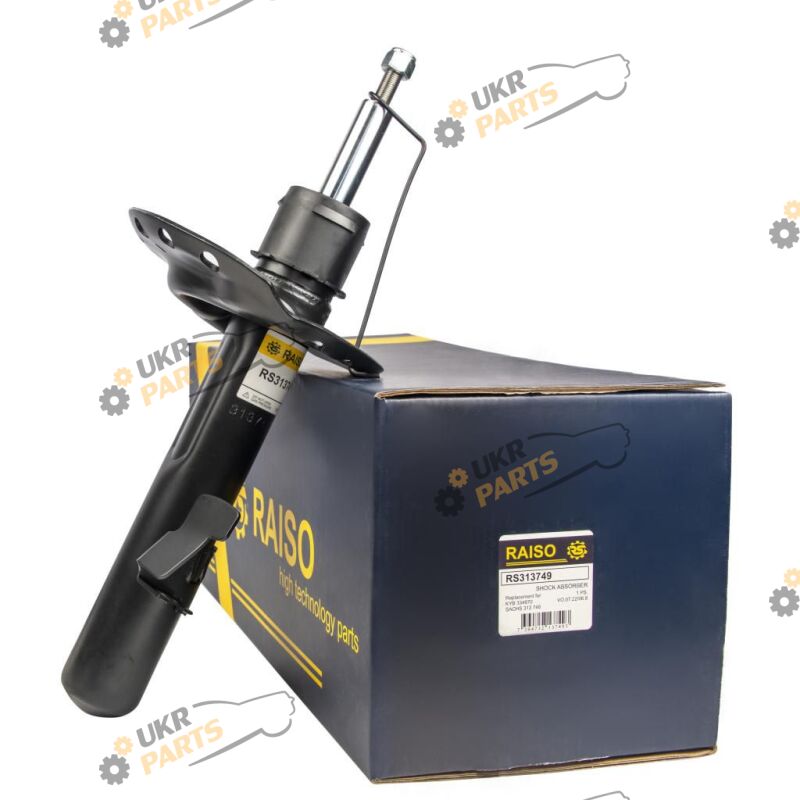  Raiso RS313749