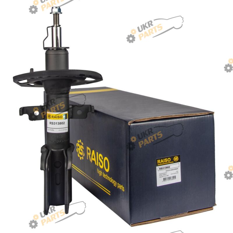 Raiso RS313802