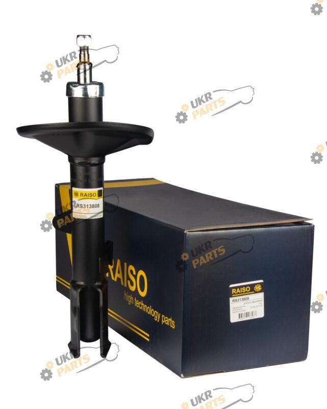  Raiso RS313808