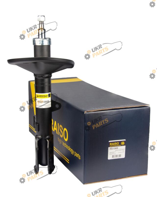  Raiso RS313809