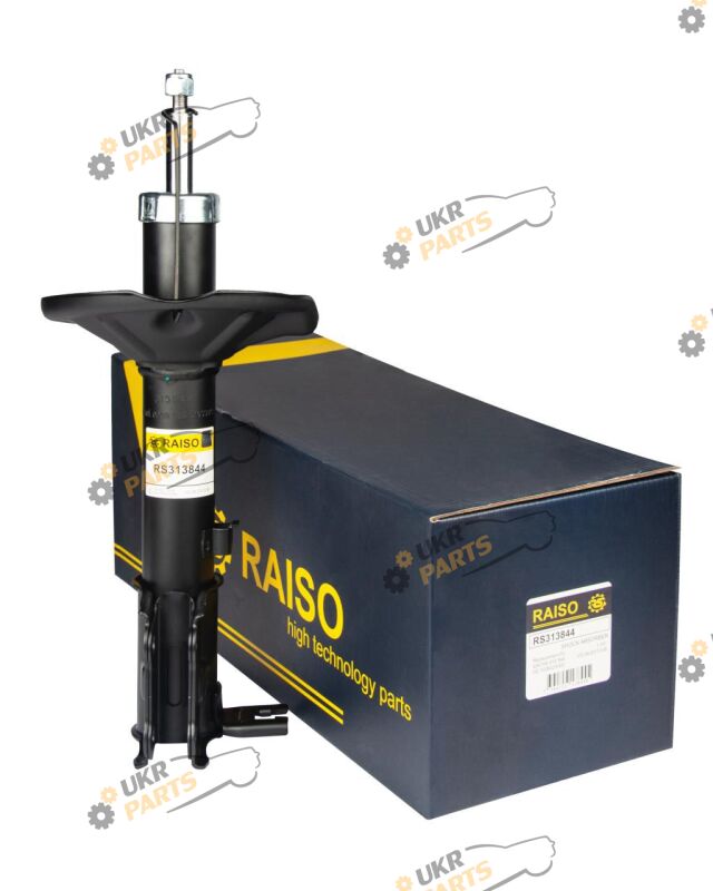  Raiso RS313844
