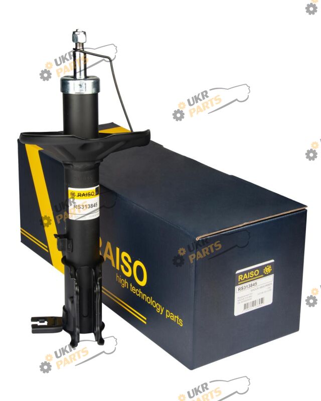  Raiso RS313845