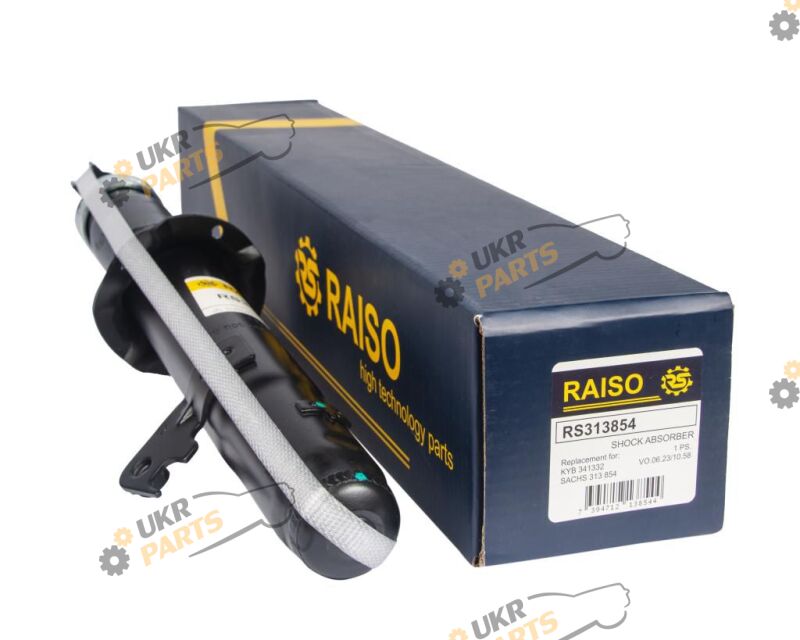  Raiso RS313854