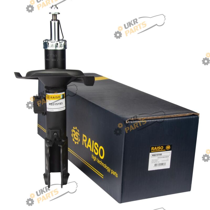  Raiso RS315193